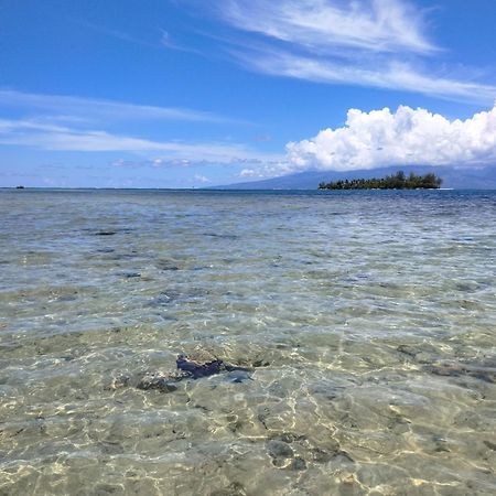 Bungalow Vue Lagon 180 Degre, La Maison Bleue Moorea Luaran gambar