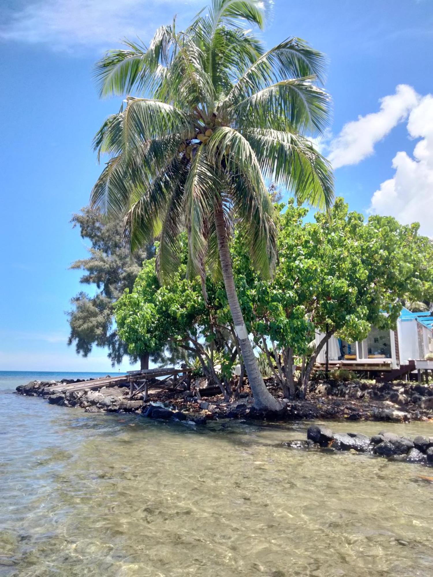 Bungalow Vue Lagon 180 Degre, La Maison Bleue Moorea Luaran gambar