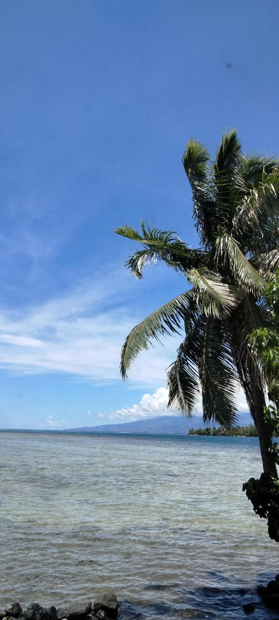Bungalow Vue Lagon 180 Degre, La Maison Bleue Moorea Luaran gambar