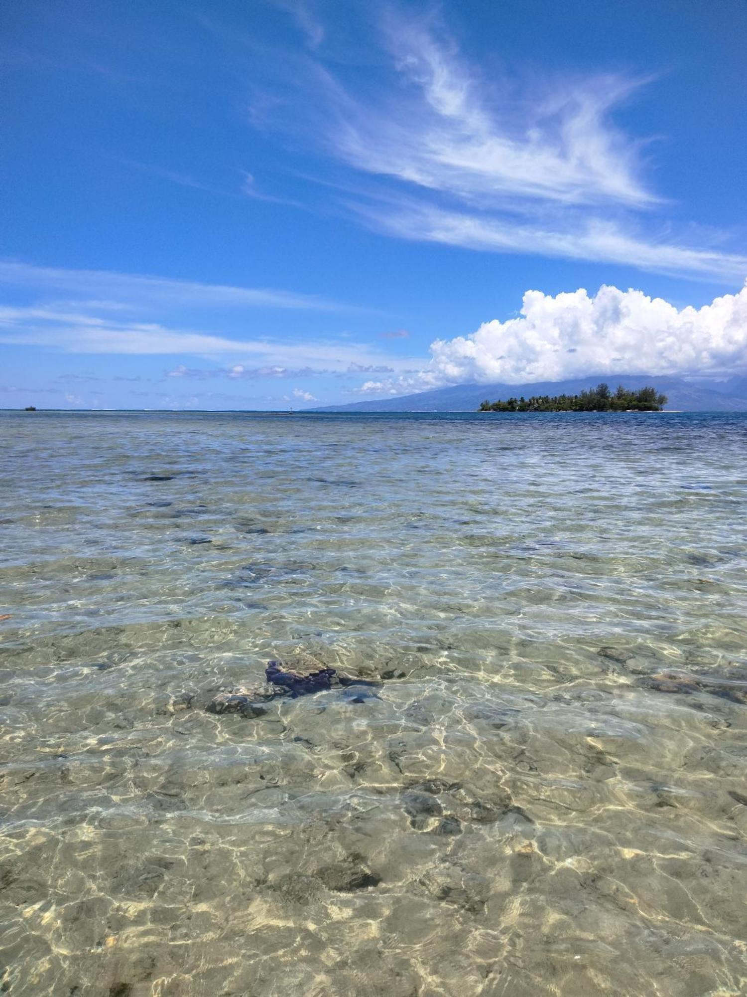 Bungalow Vue Lagon 180 Degre, La Maison Bleue Moorea Luaran gambar